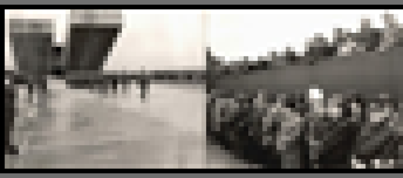 фотодокумент 1