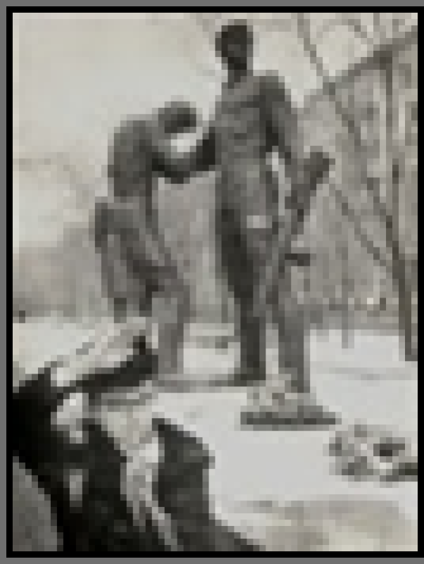 фотодокумент 2