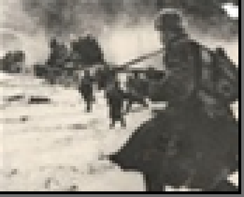 фотодокумент 4